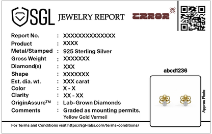 Jewelry report for Lab Diamond earrings in yellow gold vermeil