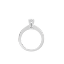 Dazzle Dot Singula Ring