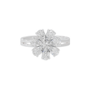 Center of My Eye Ring