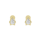 Held In Two Earrings