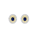 Royal Emblem Earrings