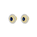 Royal Emblem Earrings