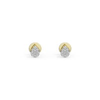 Stella Gold Studs