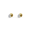 Stella Gold Studs