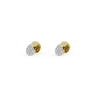 Stella Gold Studs