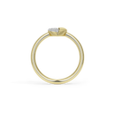 Amour Gold Ring