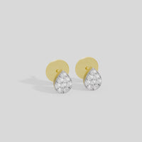 Stella Gold Studs